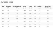 NEILPRYDE Fly II PRO Wing 2024 DEMO
