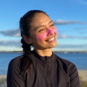 SUNZAPPER Extreme Zinc Stick